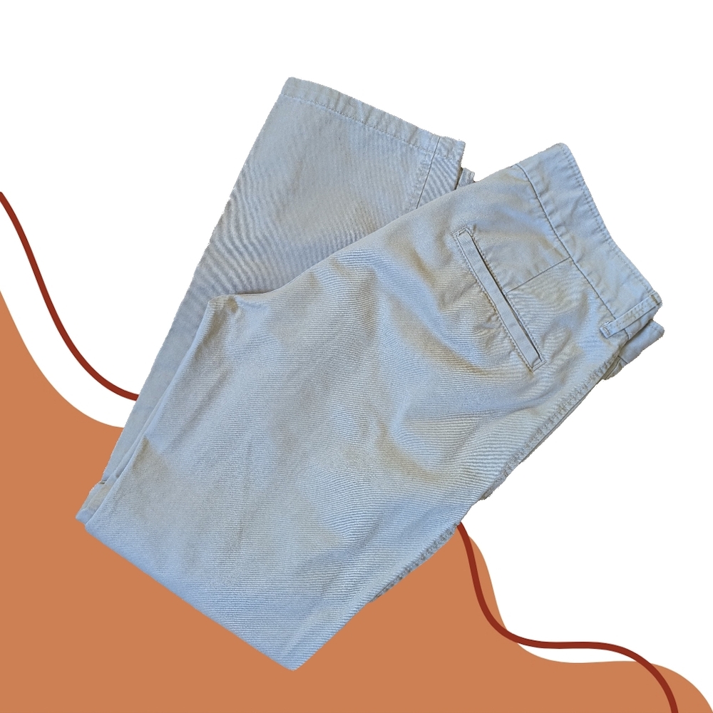 GAP Mens Khakis